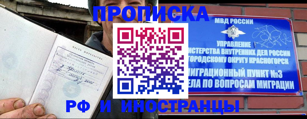 регистрация для школы в Новодвинске